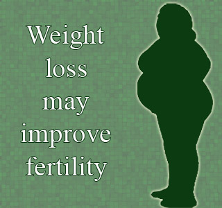 Impact of obesity on fertility can be reversed