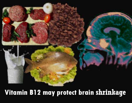 A novel study now says that a diet that is rich in vitamin B12 which 