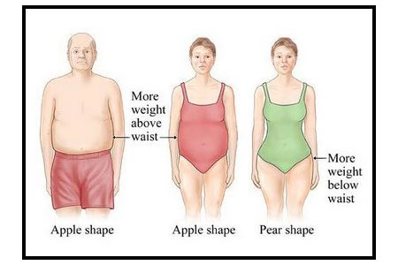Women Body Shapes. Obesity Body Shape