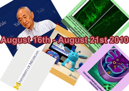 Weekly News