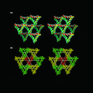 3D DNA crystals