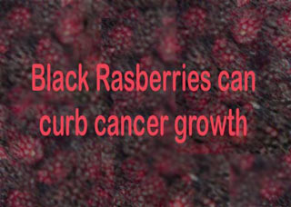 Black Raspberries curb cancer growth