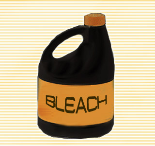  Bottle of Bleach