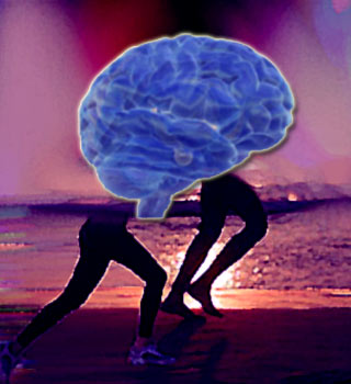 Brain,exercise