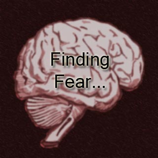 Brain Finding Fear