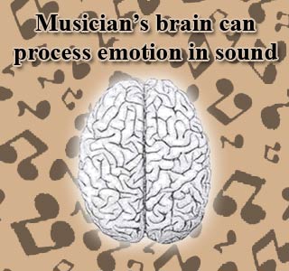 Brain and Music Notes