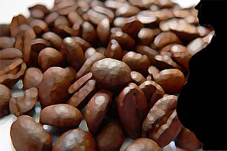 Coffee beans, Pregnancy