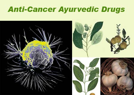 Cancer Cell, Ayurvedic herbs