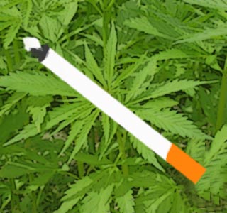 Cannabis Plant, Cigarette