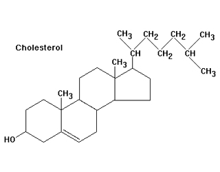 Cholesterol Molecule