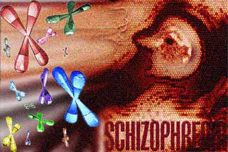 Chromosome, Schizophrenia