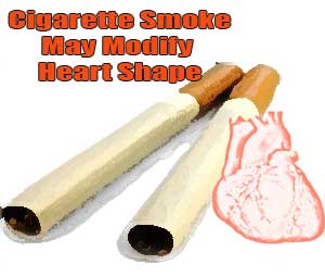 Cigarette, heart