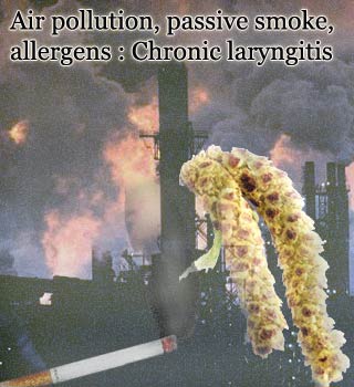 Cigarette,pollution