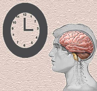 Clock, Brain Silhouette