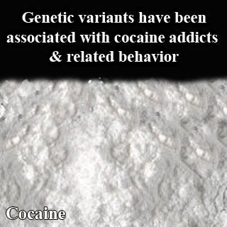 Cocaine Drug
