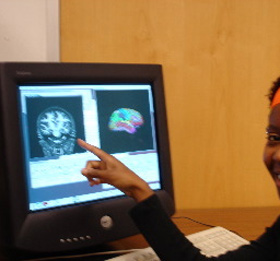 Human Brain on Computer