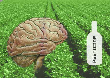 Crops, Pesticide and Brain