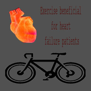 Cycle, Heart