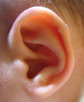 Child's Ear