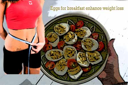 Eggs,Weight loss