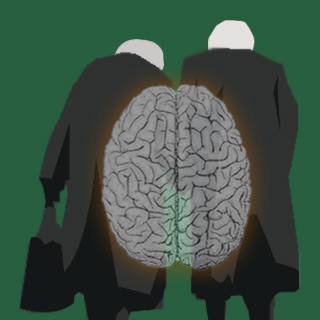 elderly couple brain