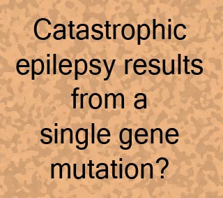 Epilepsy gene text