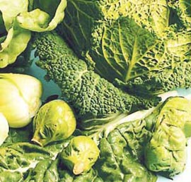 Vegetables containing Folic Acid