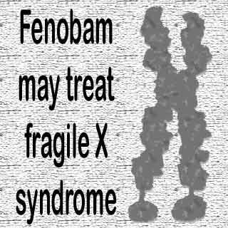 Fenobam treats Fragile X