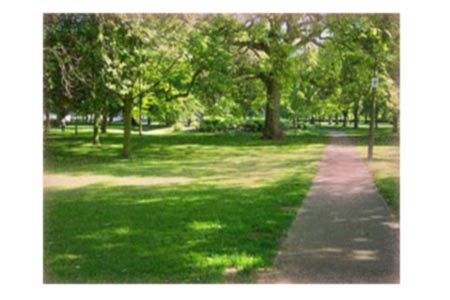 Green Space for walking