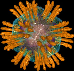 Hepatitis C under Microscope