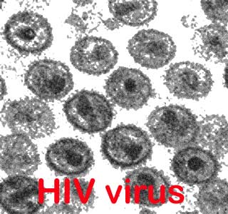 Hiv Virus