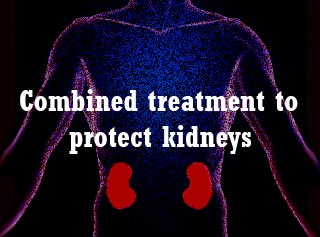 Human Kidneys