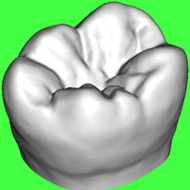 Tooth Image