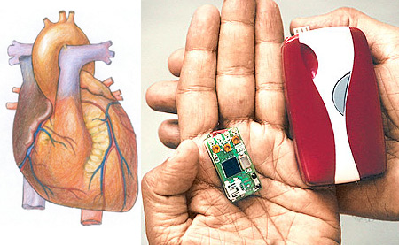 Silicon Cardiac Locket