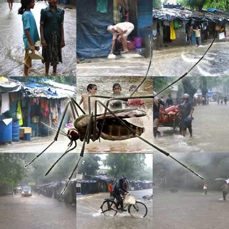 Indian Monsoons