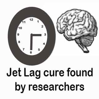Jet lag cure discovered