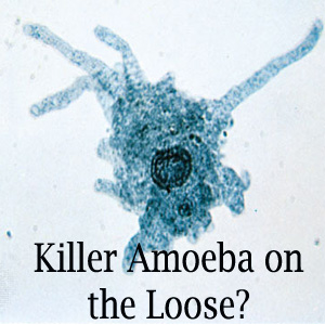 Killer Amoeba