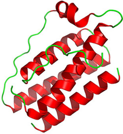 Image depicting Leptin Hormone