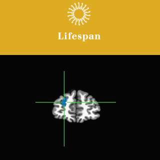 LifeSpan logo brain 