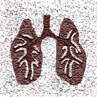 Lungs, Air Pollutants