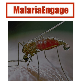 Anti-Malaria Site