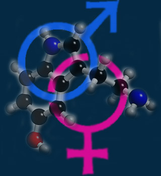 Male, Female, Serotonin