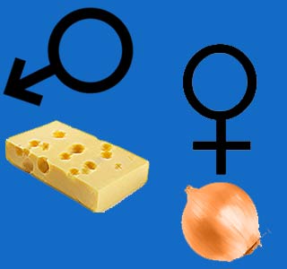 Onion, Cheese, Male and Female symbol