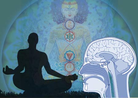 Meditation, Brain