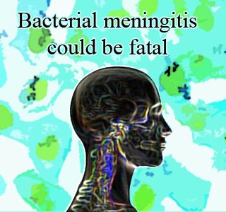 Meningitis, Head & Spinal Cord