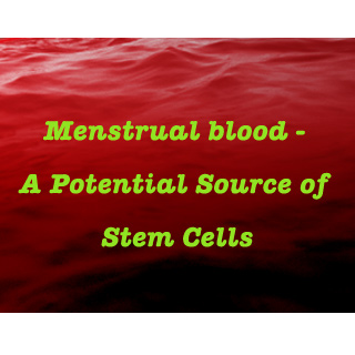 Menstrual Blood - Stem Cell Source