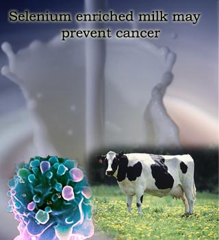 Milk,cow,cancer