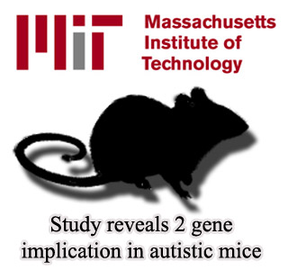 MIT logo and Mice silhouette