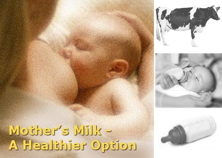 Mother's Milk and Cow's Milk
