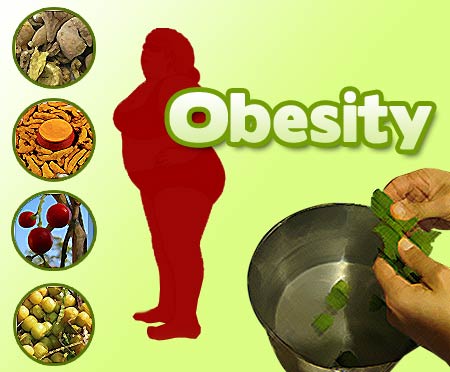 Obesity, Herbs and Decoction